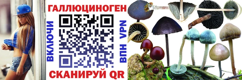 Псилоцибиновые грибы MAGIC MUSHROOMS  Кувшиново 